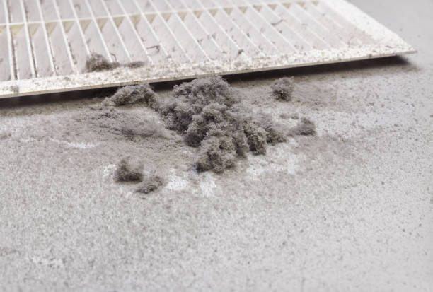 Best HVAC Duct Inspection Services  in Madisonville, LA