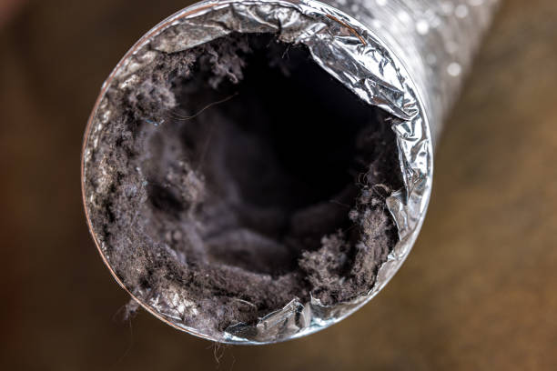 Trusted Madisonville, LA Airduct Cleaning Experts