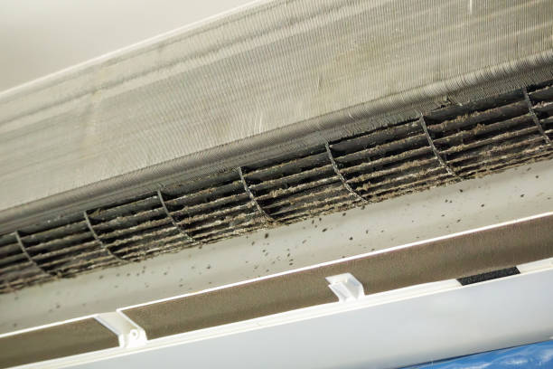 Best Best Air Duct Cleaning Near Me  in Madisonville, LA